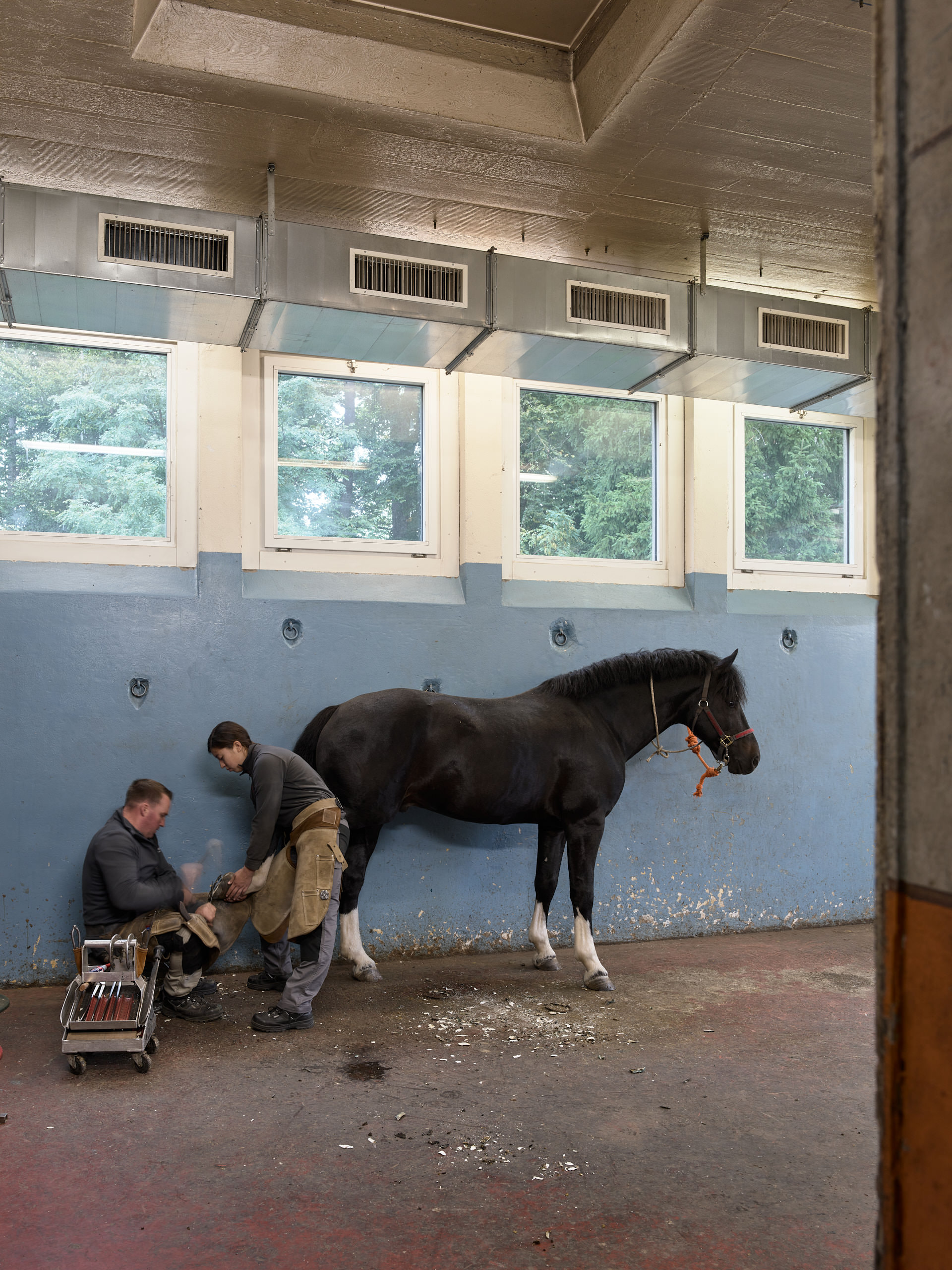 Haras National